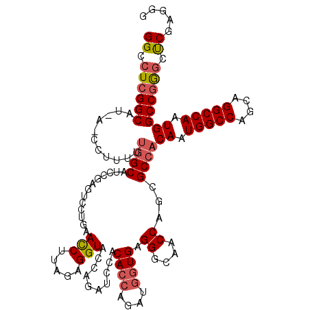 secondary structure