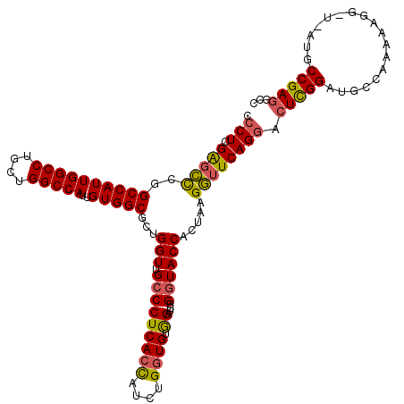 secondary structure