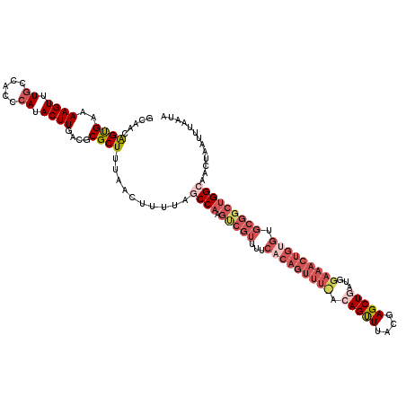 secondary structure