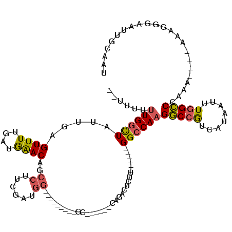 secondary structure