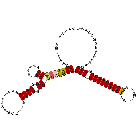 secondary structure