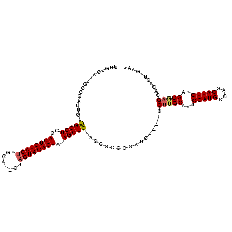 secondary structure