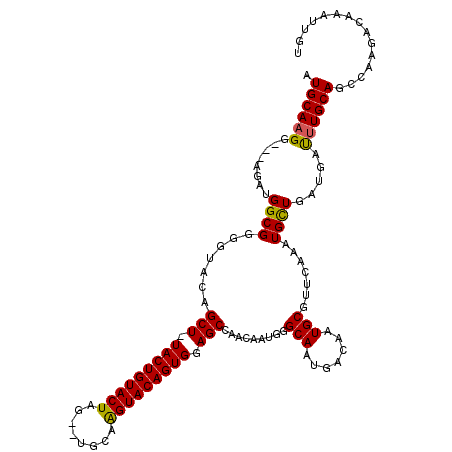 secondary structure
