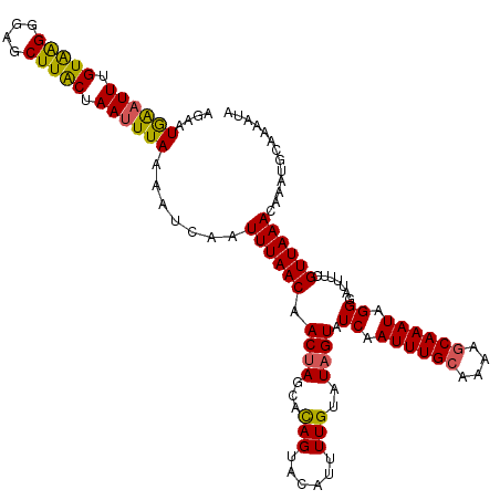 secondary structure