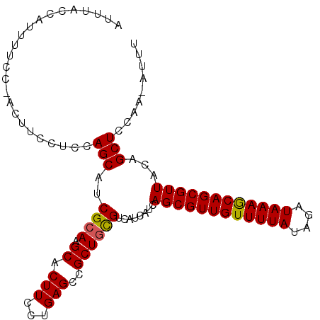 secondary structure