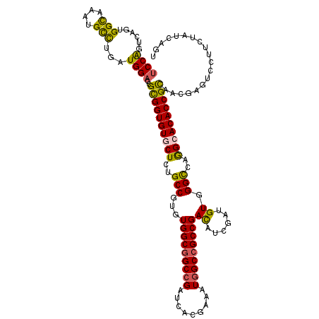 secondary structure