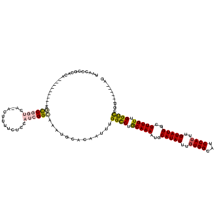 secondary structure