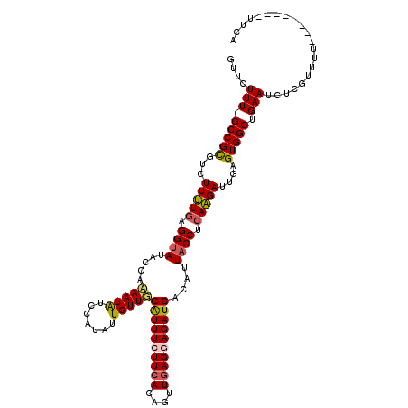 secondary structure