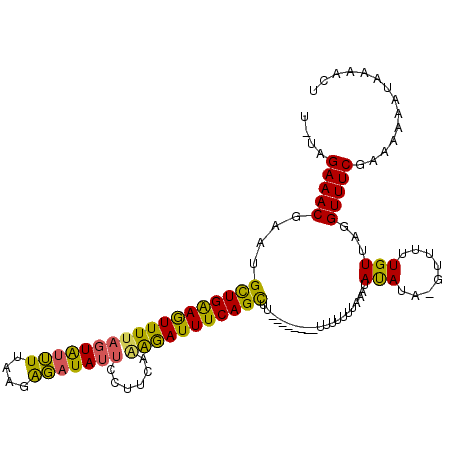 secondary structure