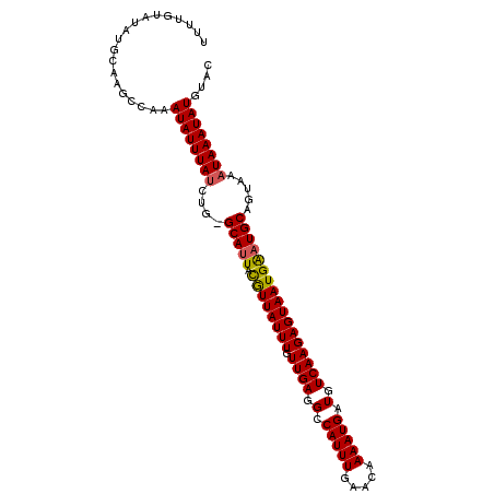 secondary structure