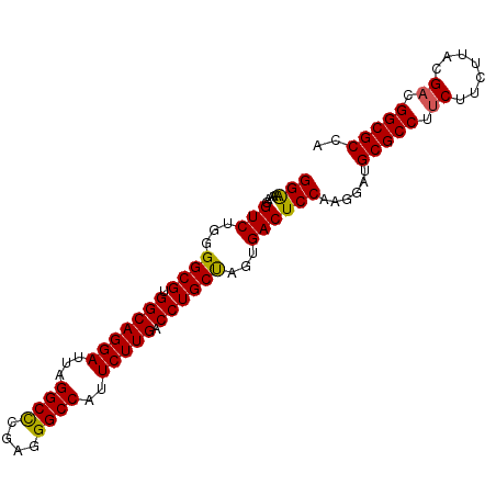 secondary structure