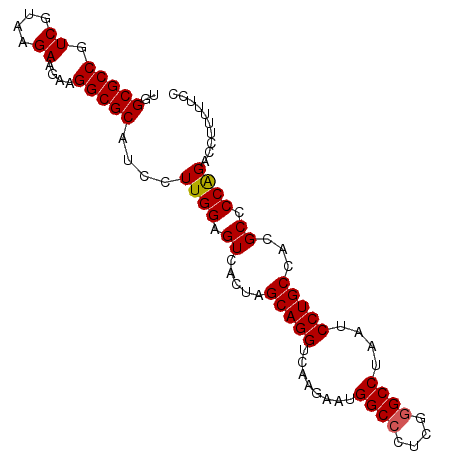 secondary structure