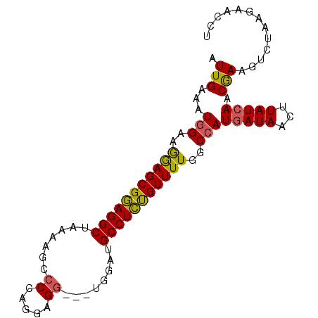 secondary structure