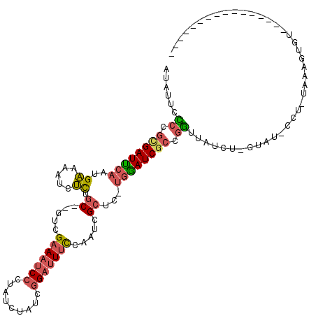 secondary structure