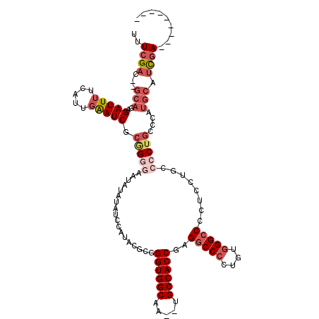 secondary structure