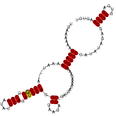 secondary structure