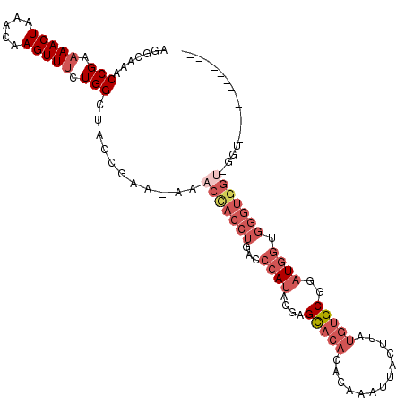secondary structure