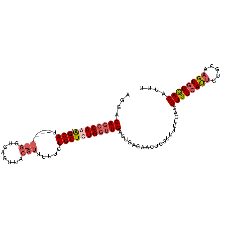 secondary structure