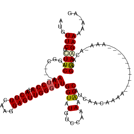 secondary structure