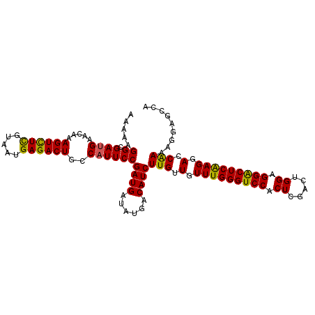 secondary structure