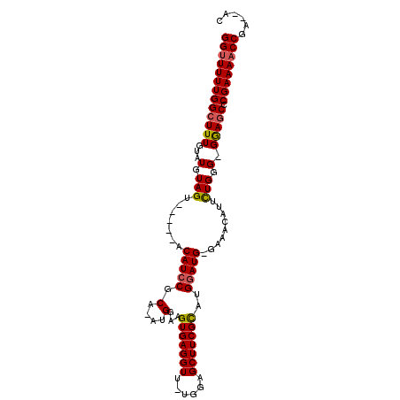 secondary structure