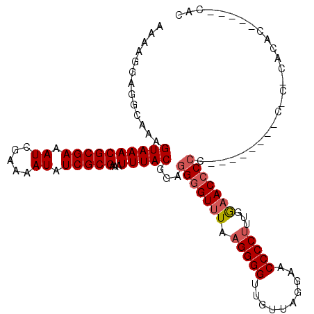 secondary structure