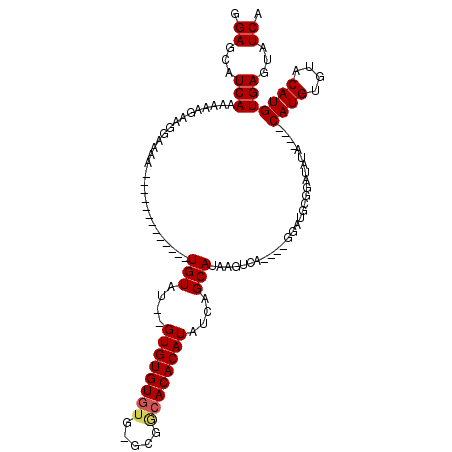secondary structure