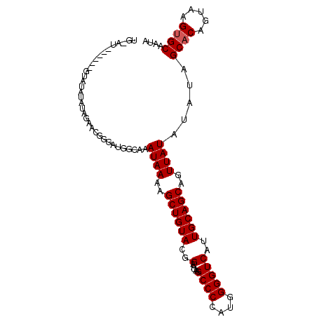 secondary structure