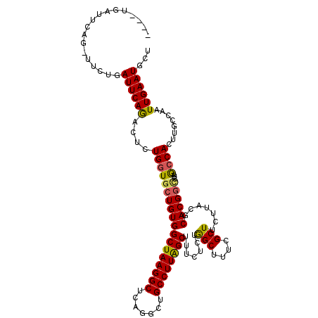 secondary structure