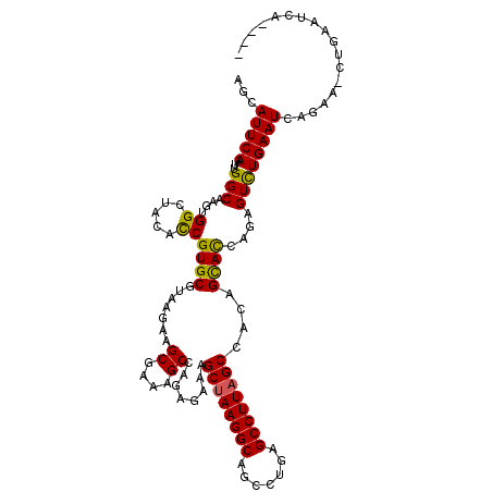 secondary structure