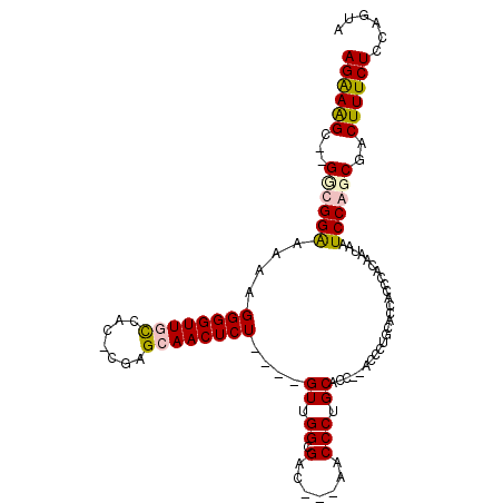 secondary structure