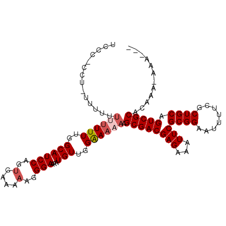 secondary structure