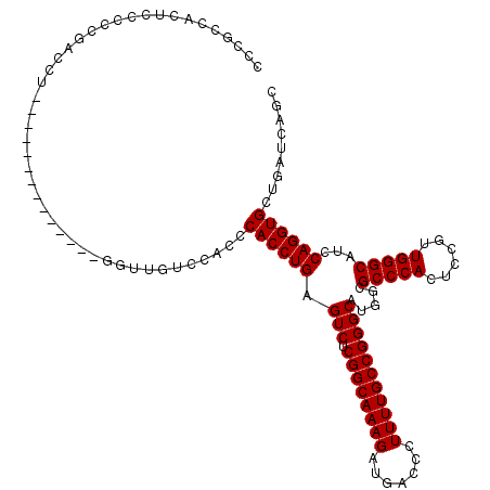 secondary structure