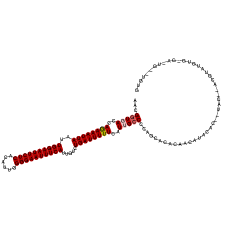 secondary structure