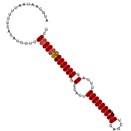 secondary structure