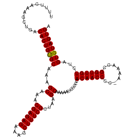 secondary structure