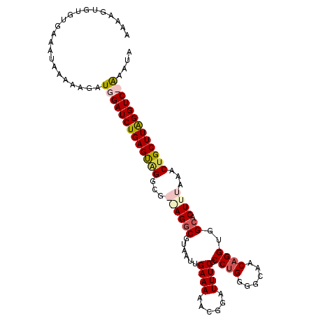secondary structure