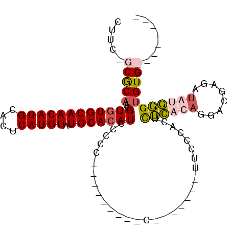 secondary structure