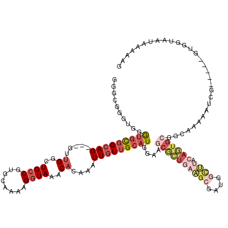 secondary structure