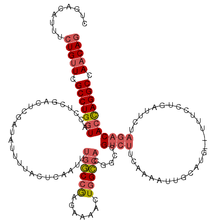 secondary structure