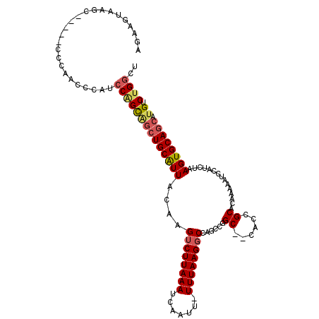 secondary structure