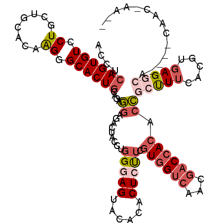 secondary structure