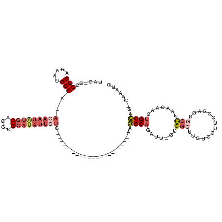 secondary structure
