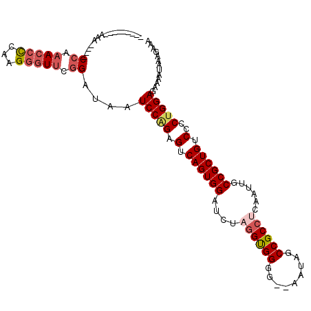 secondary structure