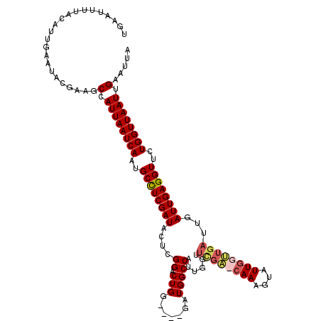 secondary structure