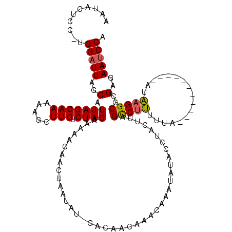 secondary structure