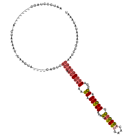 secondary structure