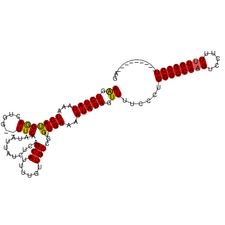 secondary structure