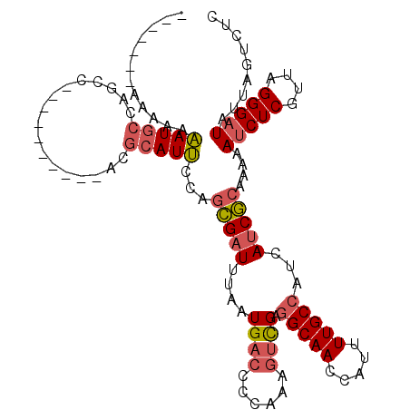 secondary structure