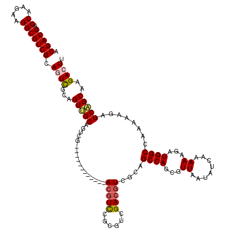 secondary structure